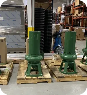 Border Patrol Pumps - RAW
