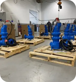 Shelby County Pumps - RAW